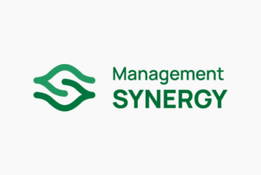 Management Synergy logo
